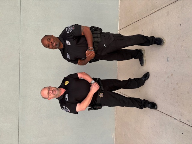 2 Security-Professionals