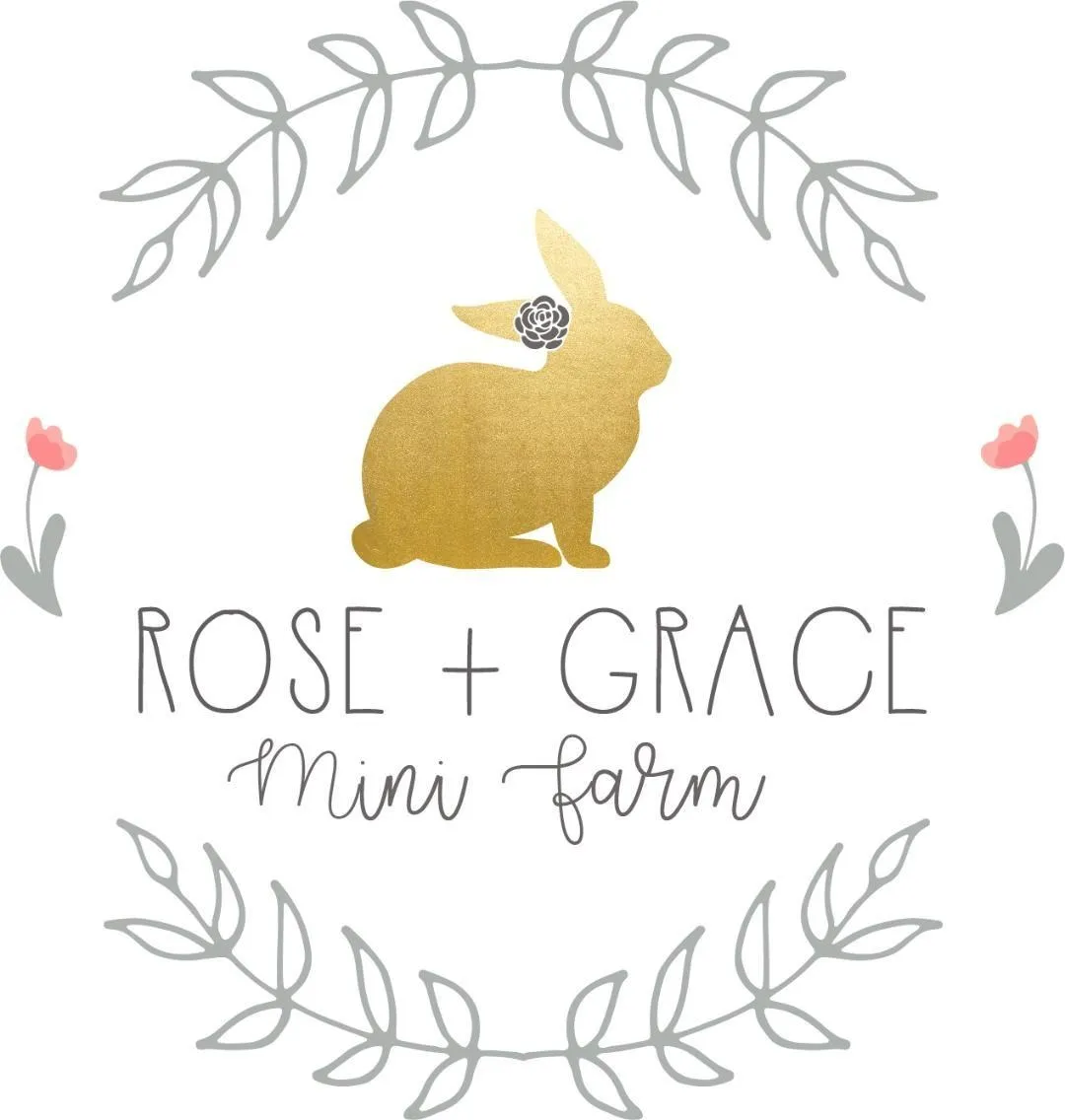 Rose and Grace Mini Farm