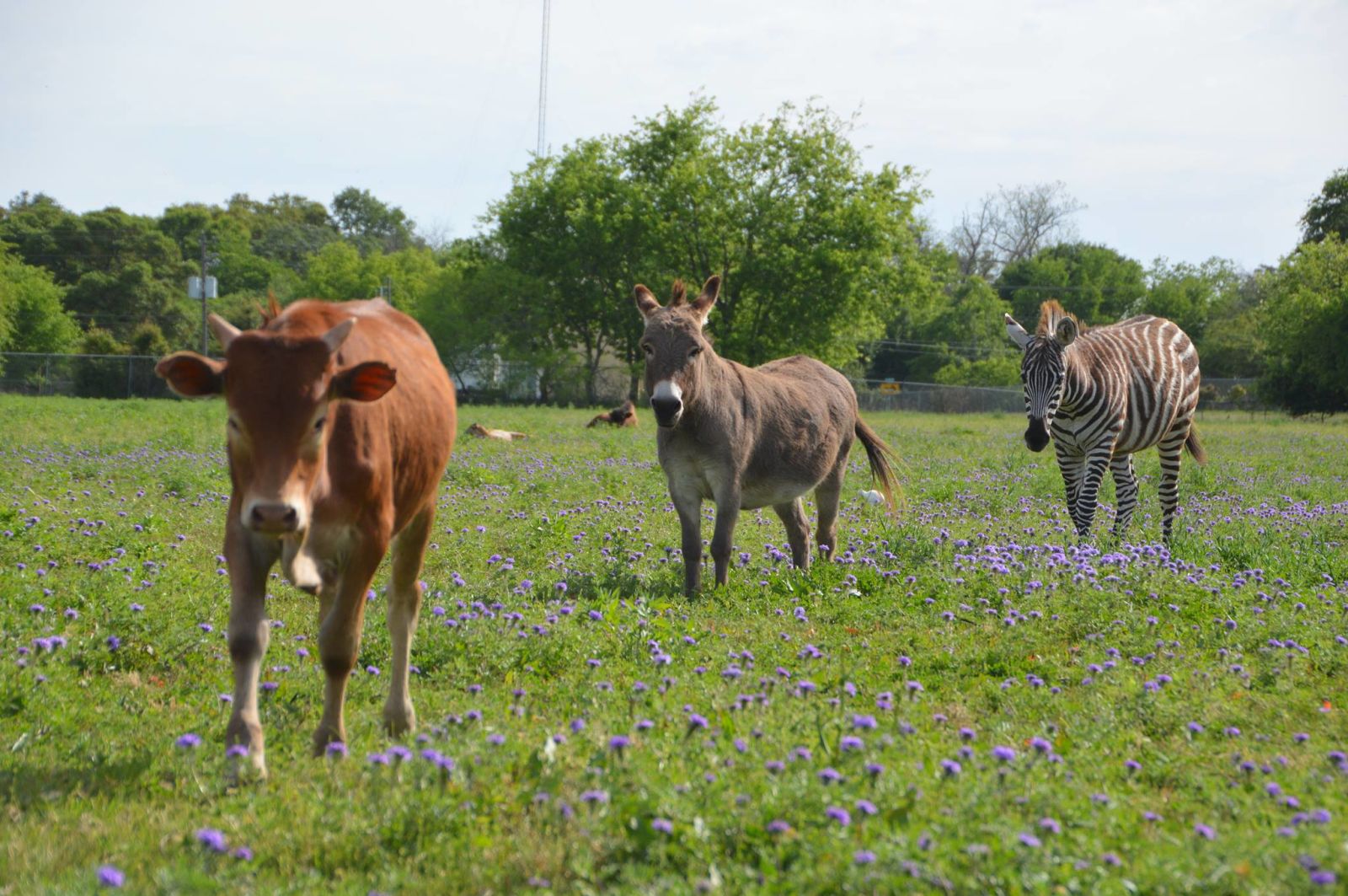 Indian Springs Ranch gallery 2