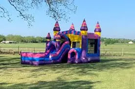 The Bounce House Party gallery 5