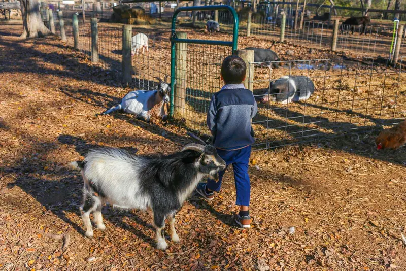 Sweet Eats Adventure Farm & Petting Zoo