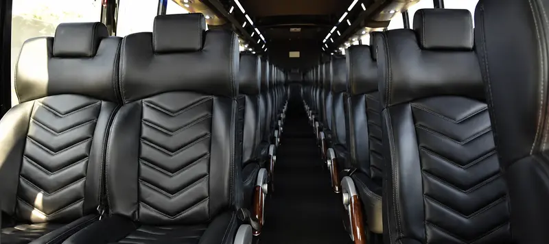 Holiday Coach Company gallery 4
